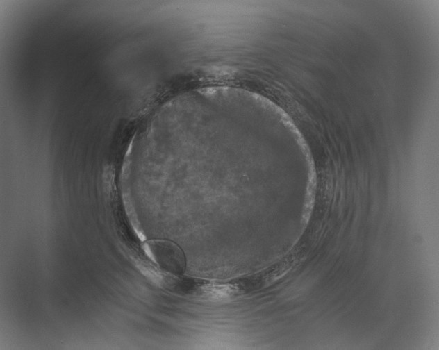 X0000073860711200609071633