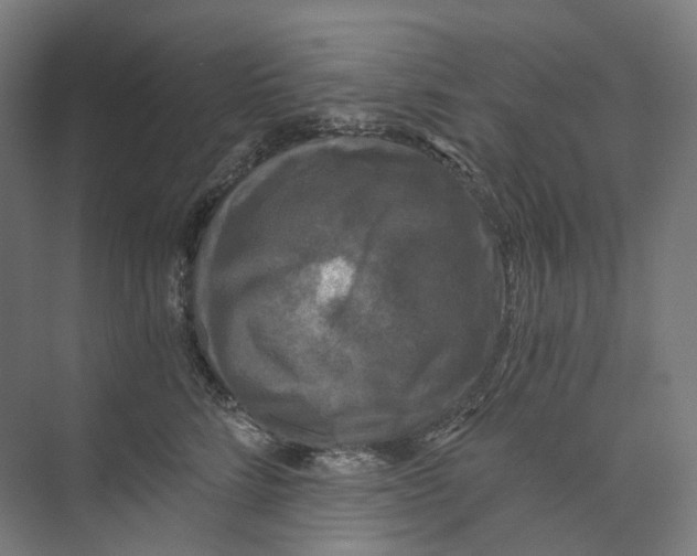 X0000073860712200609071633