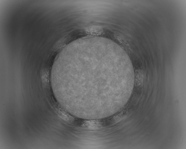 X0000073860713200609071633