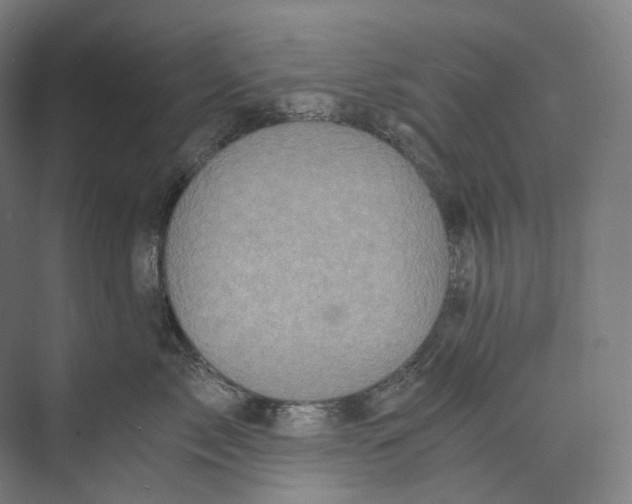 X0000073860717200609071633