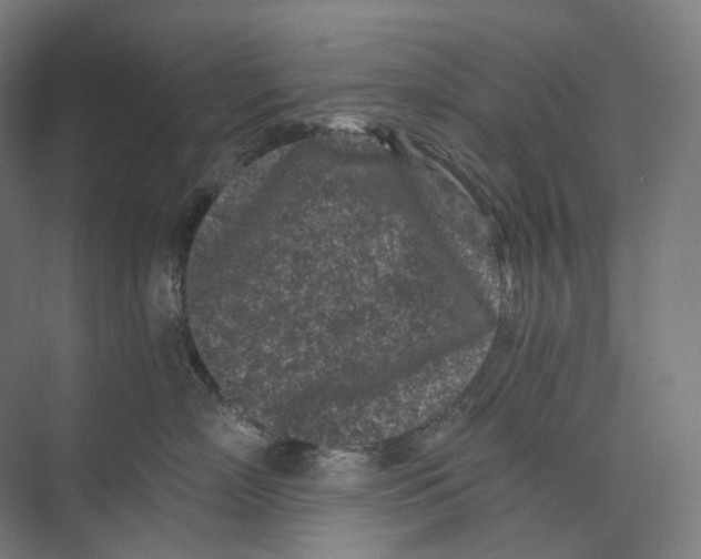 X0000073860718200609071633