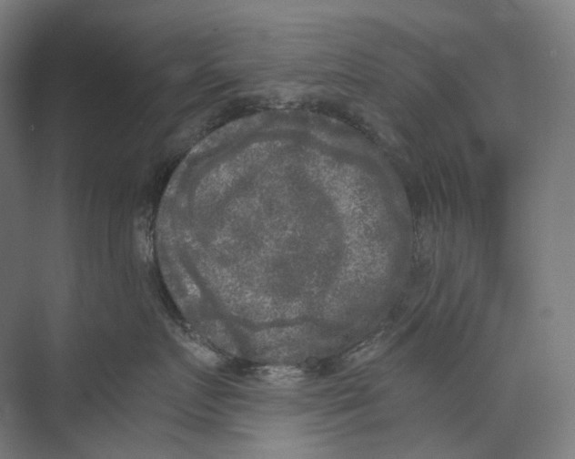 X0000073860719200609071633