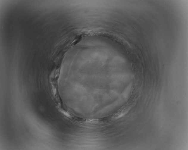 X0000073860720200609071633