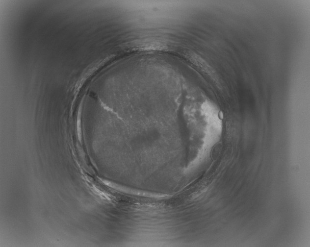 X0000073860721200609071632