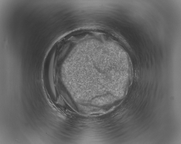 X0000073860724200609071632