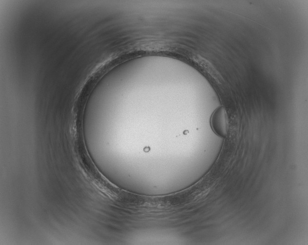 X0000073860727200609071632