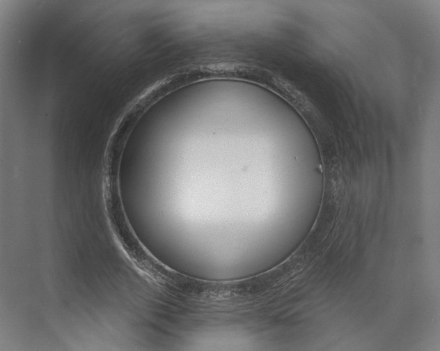 X0000073860728200609071632