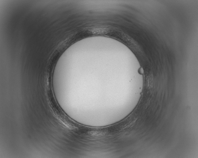 X0000073860733200609071632