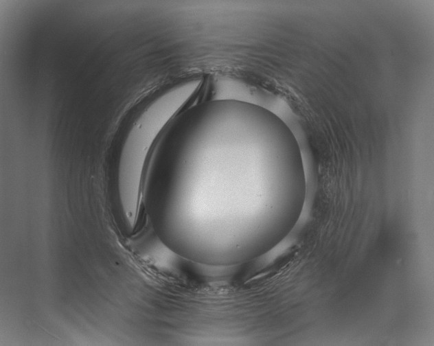 X0000073860735200609071632