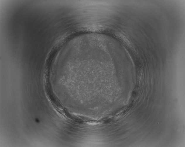 X0000073860736200609071632