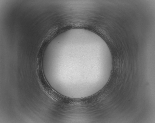 X0000073860738200609071632