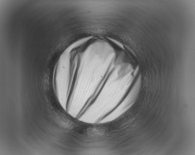 X0000073860739200609071632