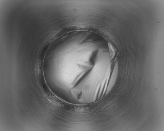 X0000073860740200609071632