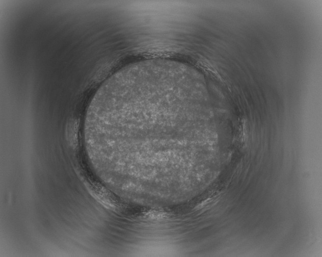 X0000073860742200609071632