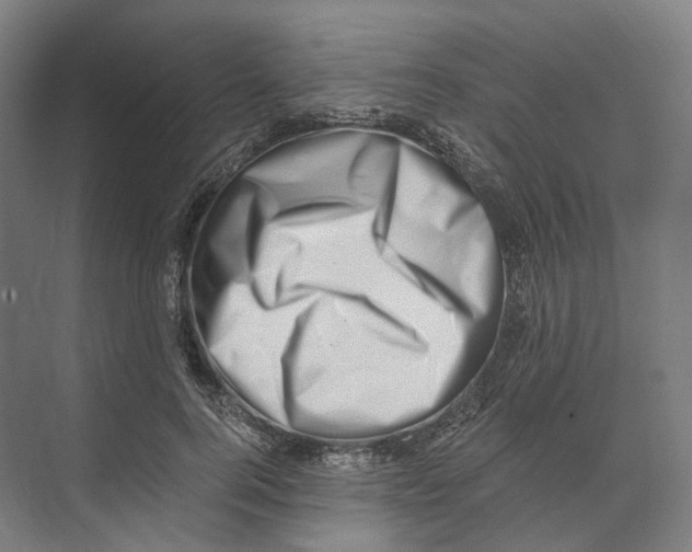 X0000073860744200609071632