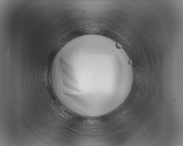 X0000073860745200609071632