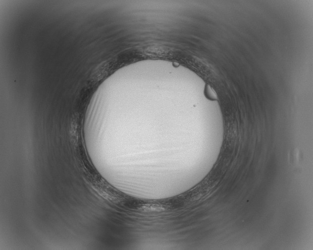 X0000073860749200609071633