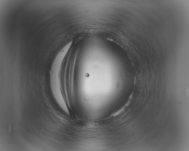 X0000073860750200609071633