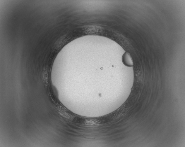 X0000073860753200609071633