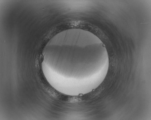 X0000073860754200609071633