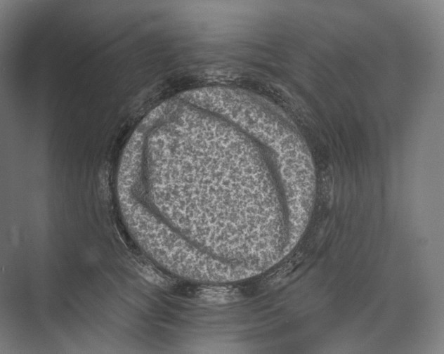 X0000073860757200609071633