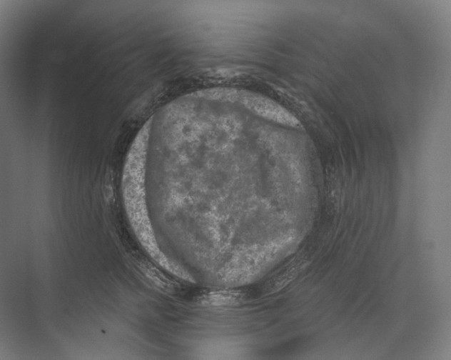 X0000073860758200609071633