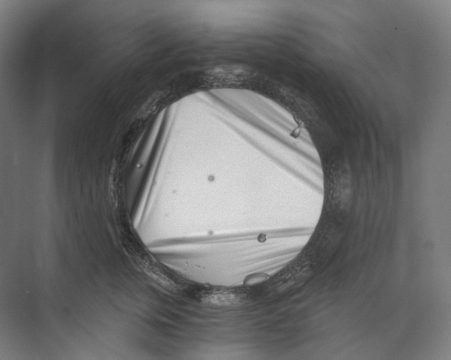 X0000073860759200609071633