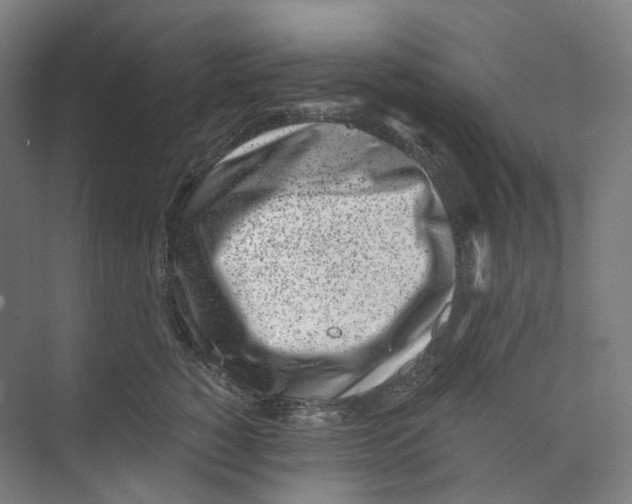 X0000073860760200609071633