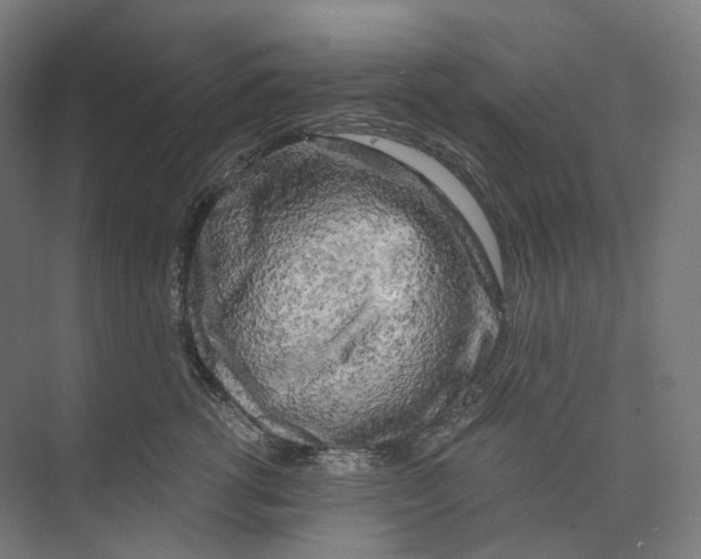 X0000073860762200609071633