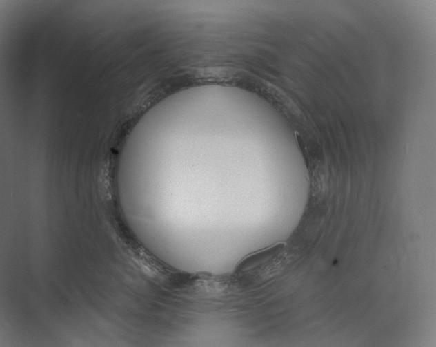 X0000073860764200609071633