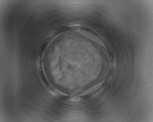 X0000073860767200609071633