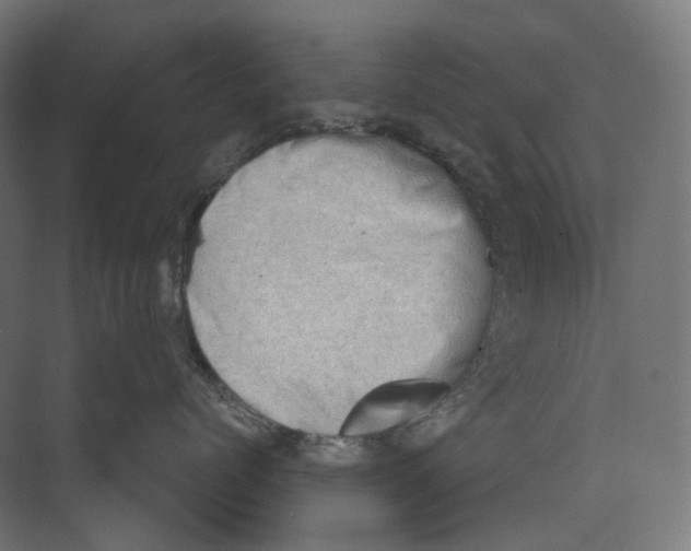 X0000073860768200609071633