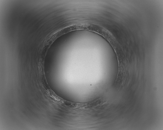 X0000073860773200609071632