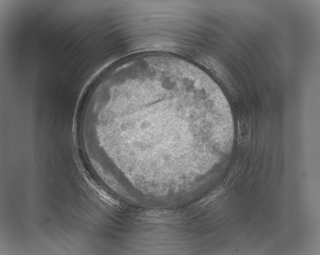 X0000073860780200609071632