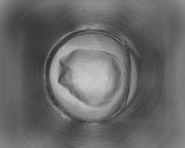 X0000073860784200609071632