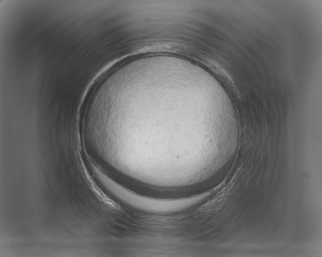 X0000073860792200609071632