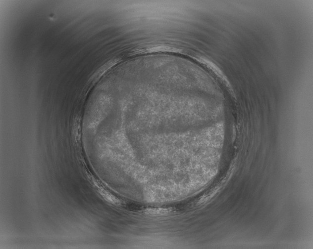 X0000073860793200609071632