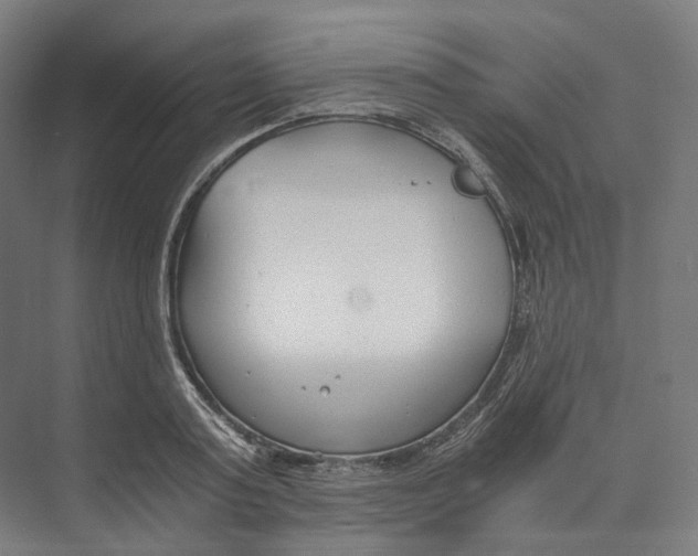 X0000073860795200609071632