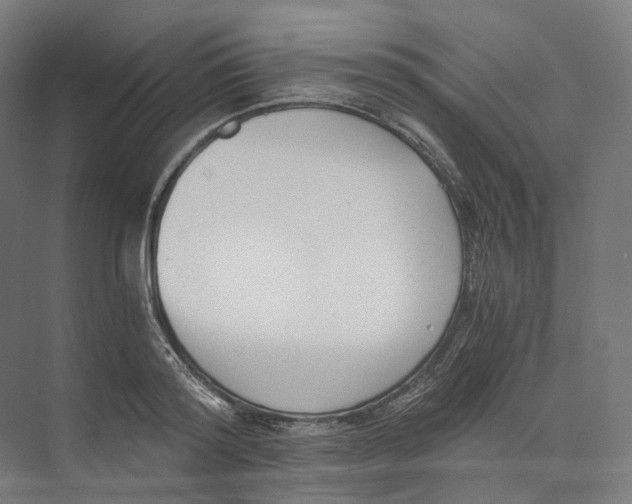 X0000073860796200609071632