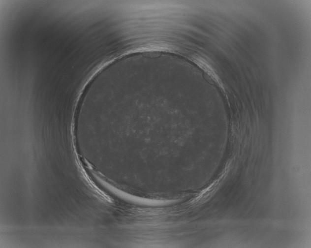 X0000073860797200609071632