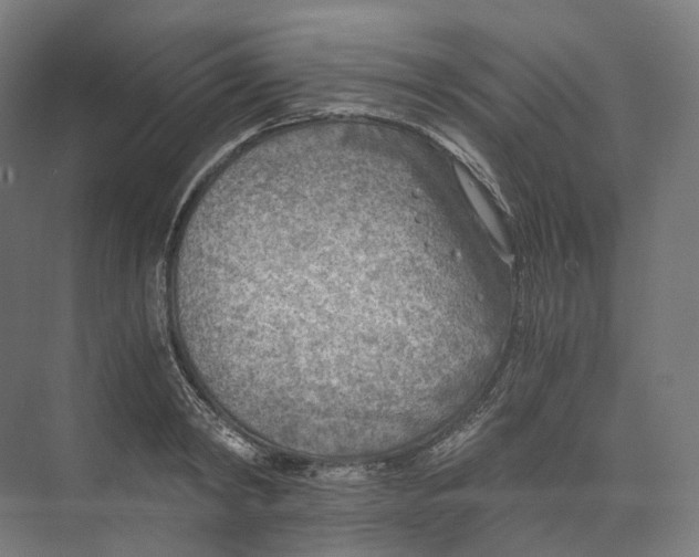 X0000073860798200609071632