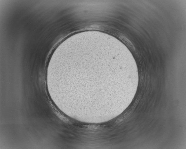 X0000073860800200609071632