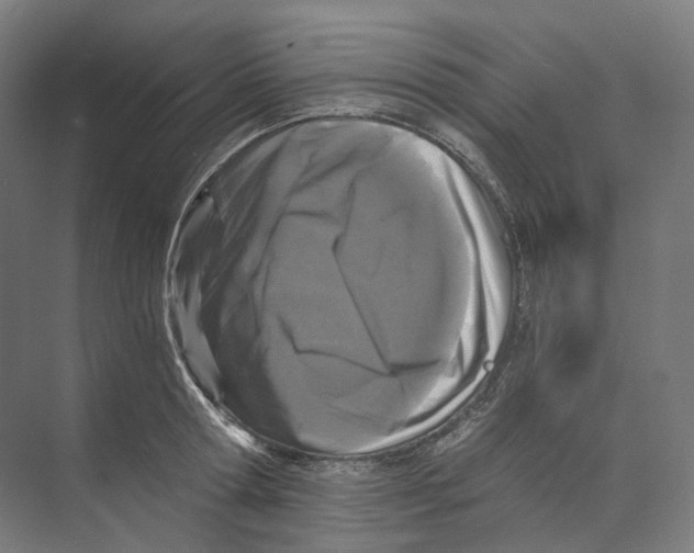 X0000073860802200609071631