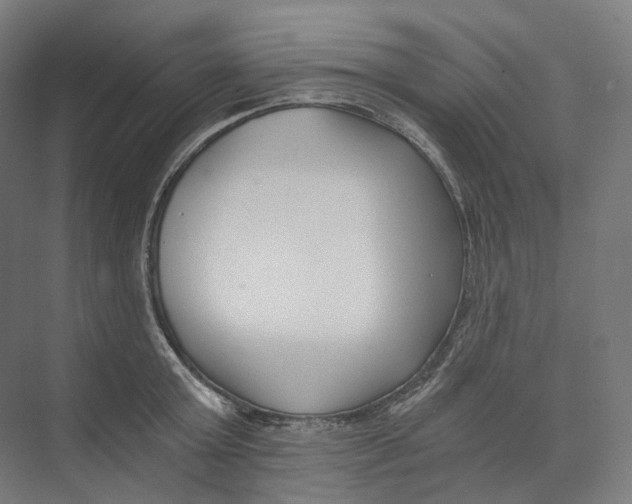 X0000073860803200609071631