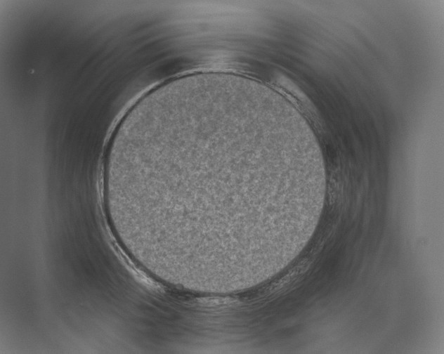 X0000073860804200609071631