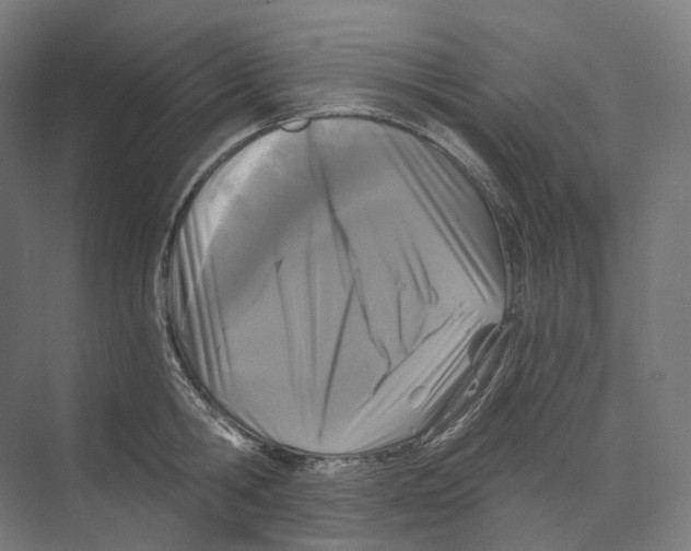 X0000073860806200609071631