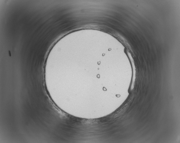 X0000073860808200609071631