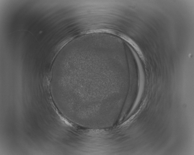 X0000073860809200609071631