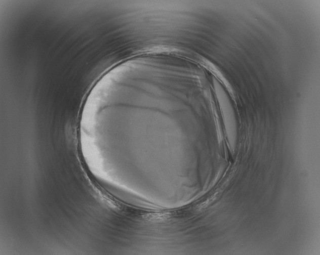 X0000073860810200609071631