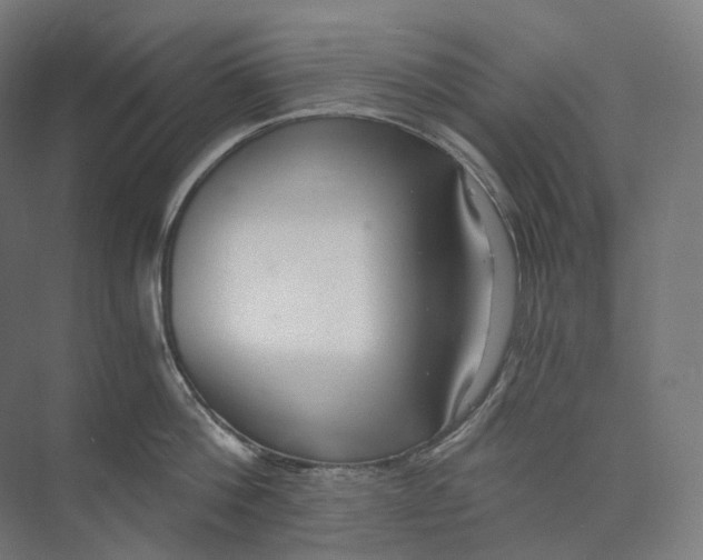 X0000073860812200609071631